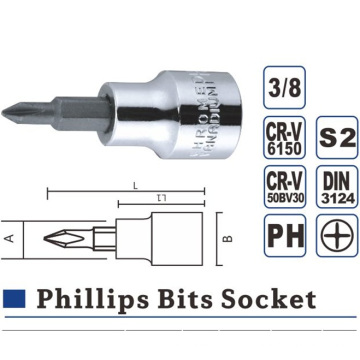 Phillips Hex Slotted Torx Bit Socket